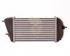 SZ Swift 10->17 radiators interkūlera 1.3DDiS 300X179X64