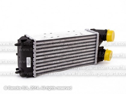 CT C4 04->08 radiators interkūlera 1.6HDi 300X147X76