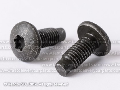 PG screw metal 07131166764 4502182 515314 5pcs