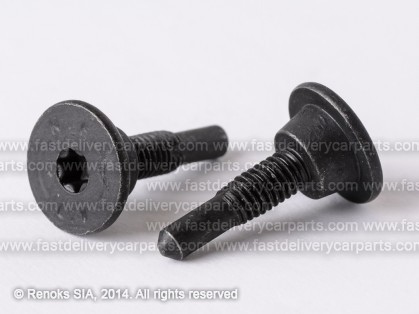 VW screw black M 6.0MM N90740701 6N080719 41168Z