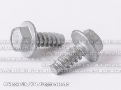 RN screw M 6.3MM 7703016264 48091290